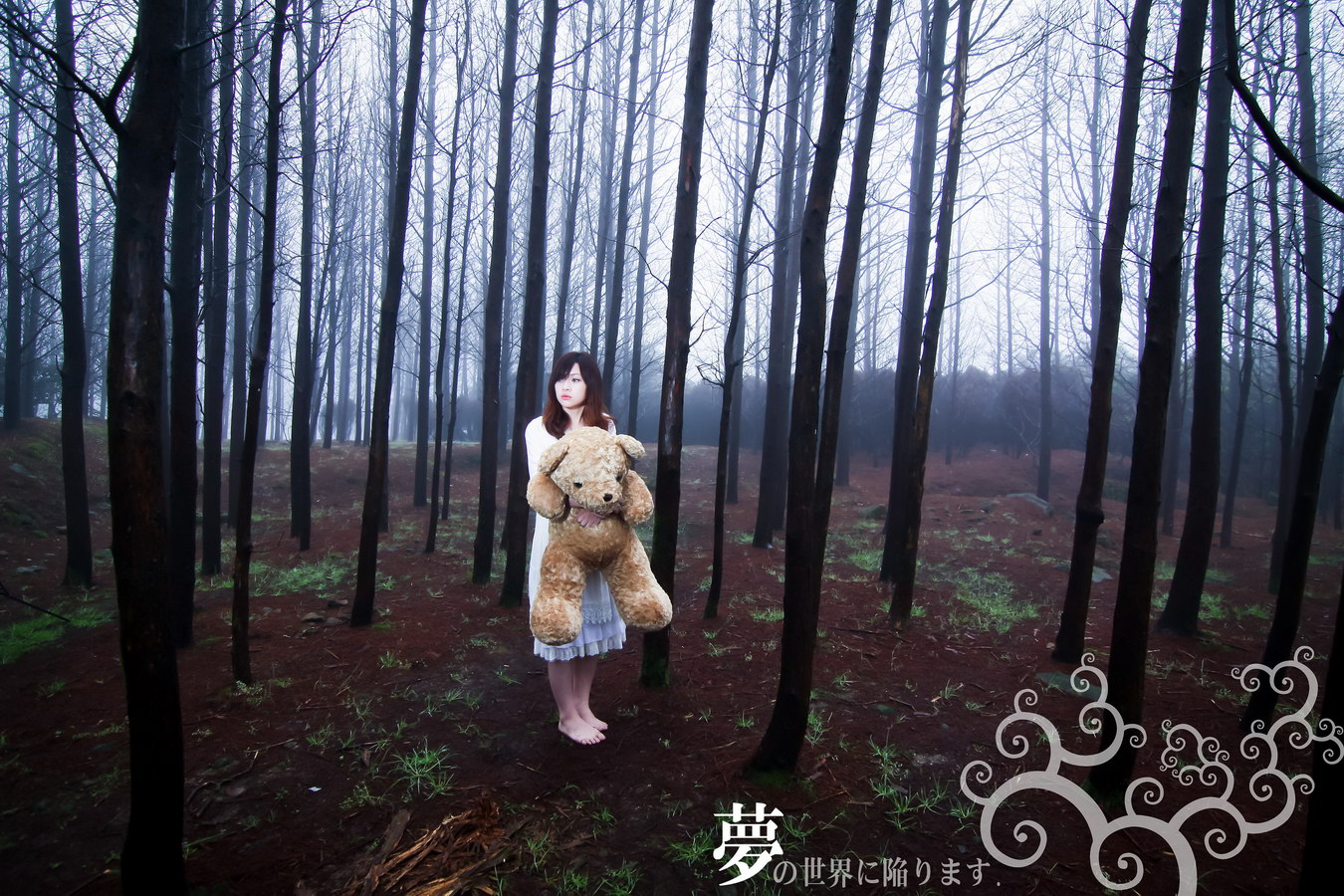 http://i.dcview.tw/gallery/201204/04efafa30e5ab3a8be246761bfecc8c9.jpg