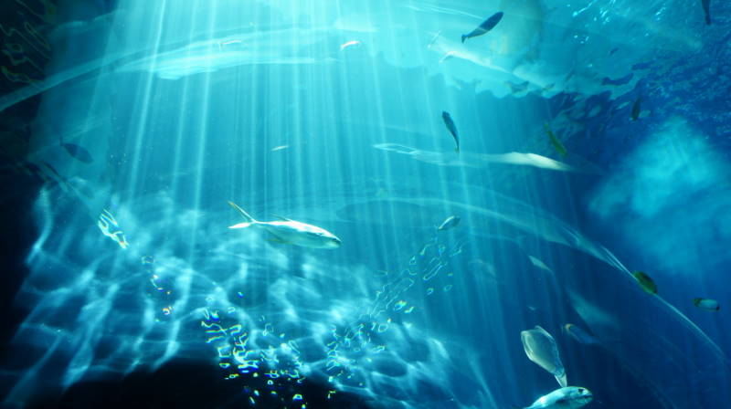 http://i.dcview.tw/gallery/201204/0b800725247ba8b540bc0e6abf295fb8.jpg