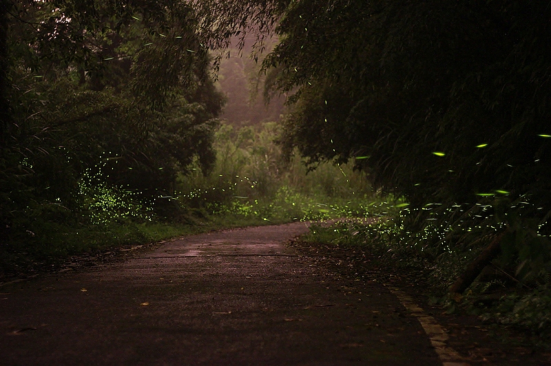 http://i.dcview.tw/gallery/201204/0bed334831416ad83a739390e43c943c.jpg