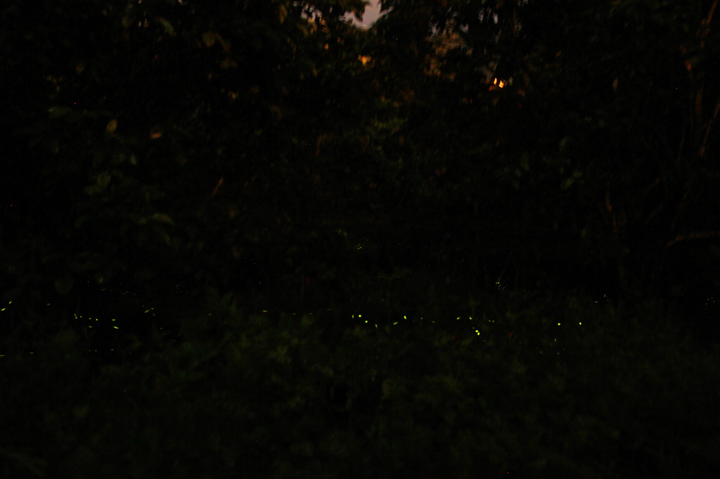 http://i.dcview.tw/gallery/201204/0d5ff89e02b74a97ac7c0bda796454d3.jpg