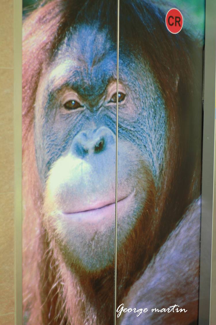 http://i.dcview.tw/gallery/201204/0d8469369473531d3455179e55ed291b.jpg