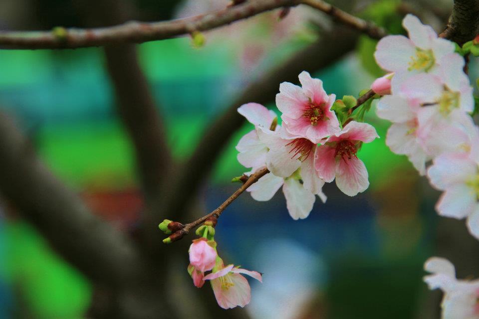 http://i.dcview.tw/gallery/201204/105e65f56a4c67fc9efd71bfb90772e3.jpg