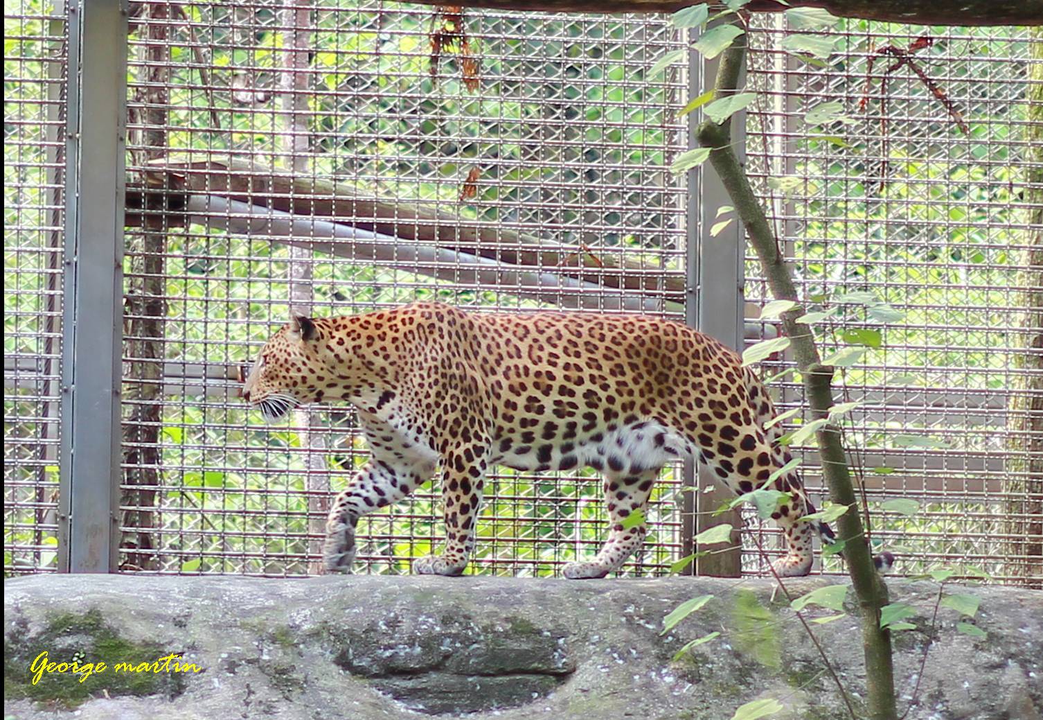 http://i.dcview.tw/gallery/201204/123f9cbf12ce373f618063cb1bd0b0ac.jpg