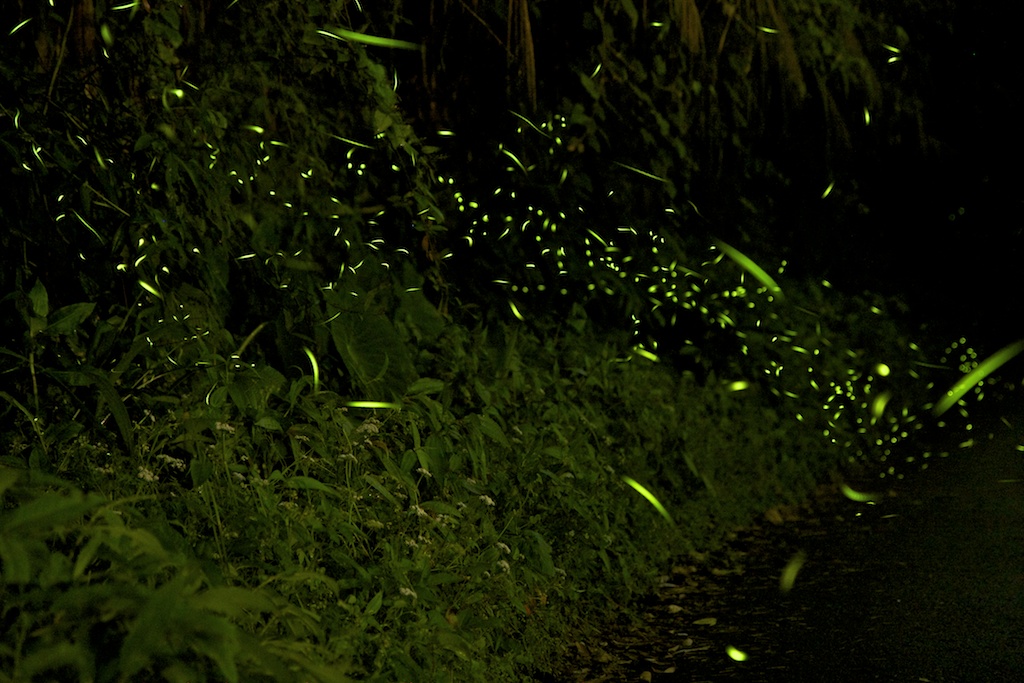 http://i.dcview.tw/gallery/201204/134b9733a2364f30467a5906f867f850.jpg