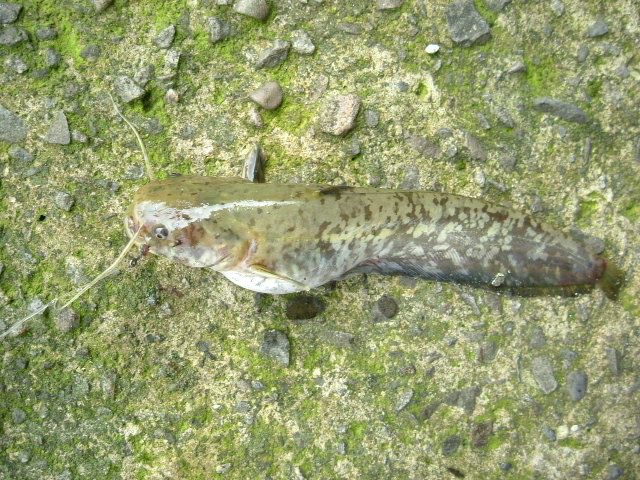 http://i.dcview.tw/gallery/201204/13b8246a1a70cf9f11999249fa5d75ec.jpg