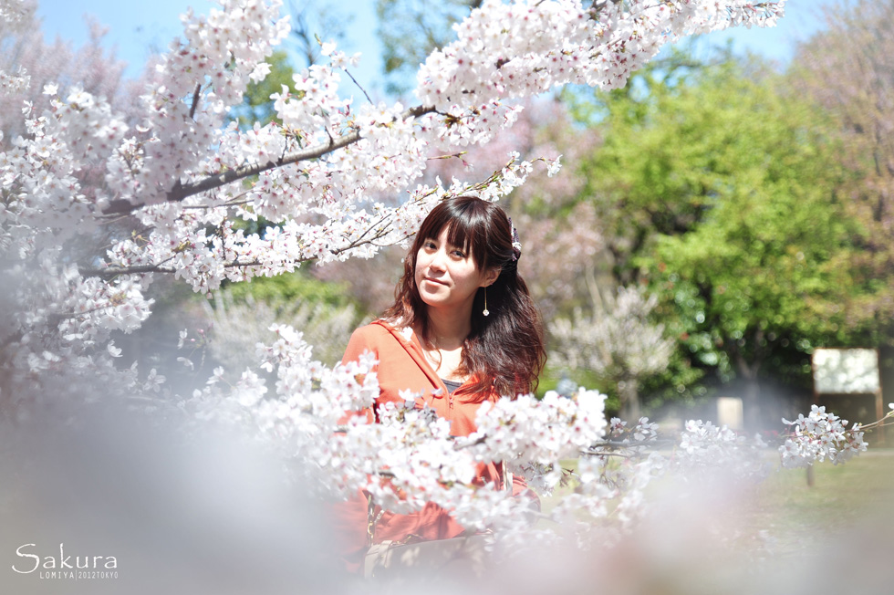 http://i.dcview.tw/gallery/201204/13da5597e07d00582560f6a899a220fc.jpg