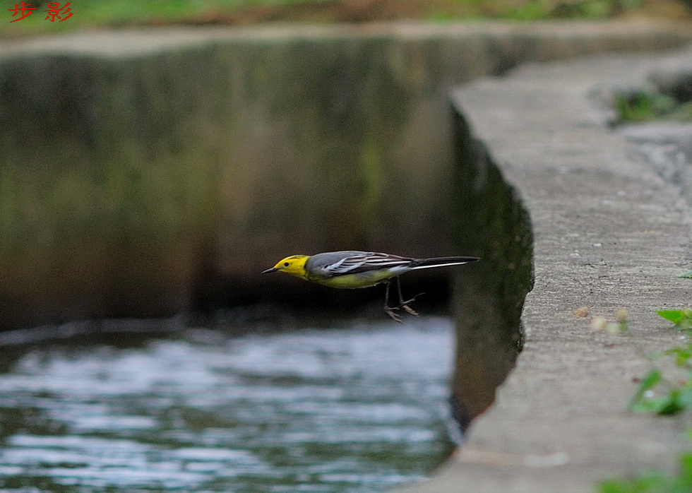 http://i.dcview.tw/gallery/201204/152e27e51f2cdd154e891ec1eac555be.jpg