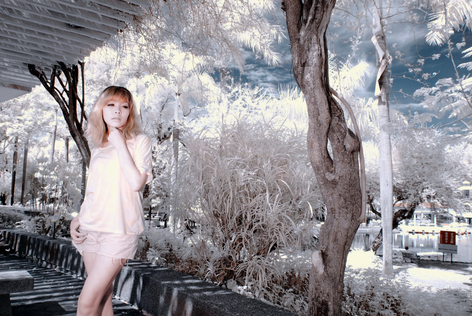 http://i.dcview.tw/gallery/201204/161a030f8285b0ad31f5c186e75a141d.jpg
