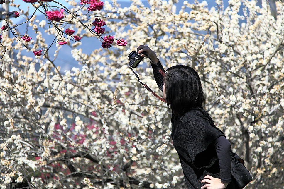 http://i.dcview.tw/gallery/201204/1d85bb78380c25bd412bd83c50eee1aa.jpg
