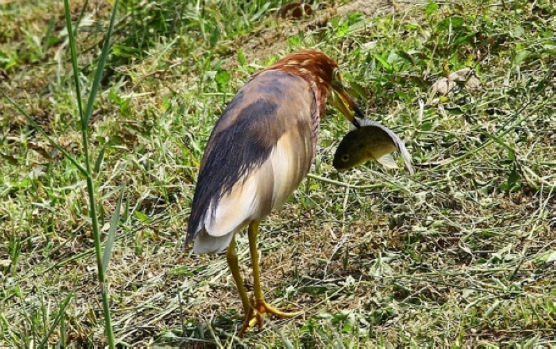 http://i.dcview.tw/gallery/201204/1f25edf116c7754ad4b7c8a6276a0e58.jpg
