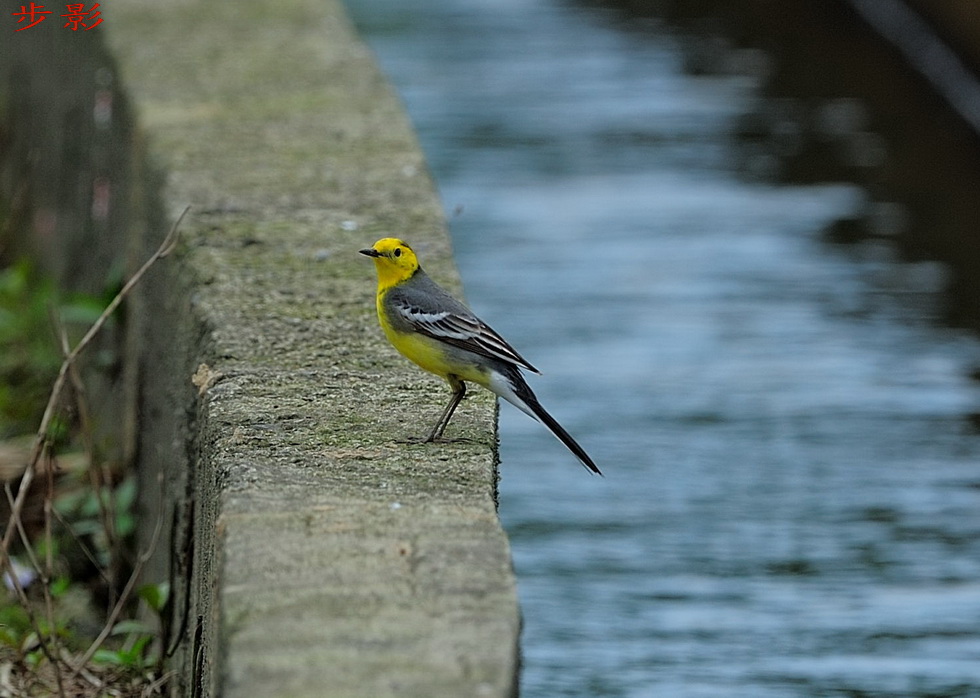 http://i.dcview.tw/gallery/201204/1fbed0976e63779c24dbb4e30a7bf0e6.jpg