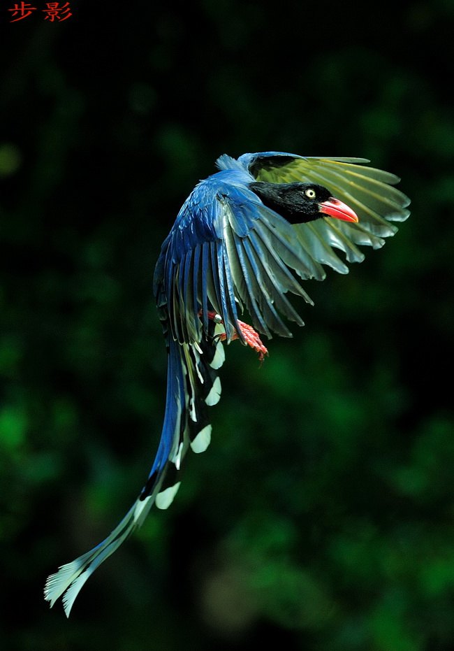 http://i.dcview.tw/gallery/201204/204a4d92fc2073b6c222e8c096566c85.jpg