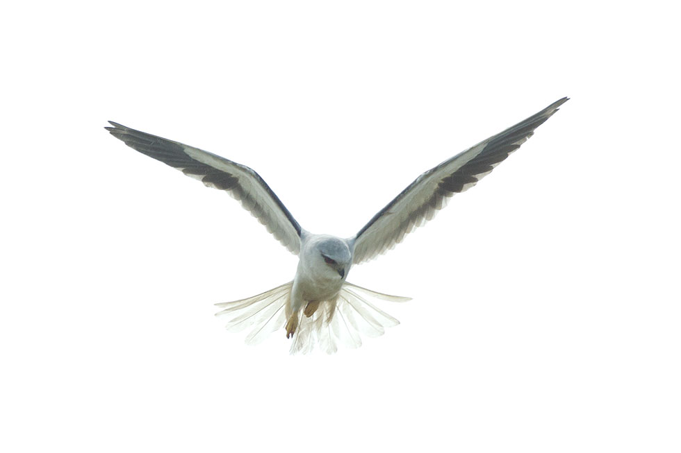 http://i.dcview.tw/gallery/201204/211deab3e0a8680da7d3543f093953e0.jpg