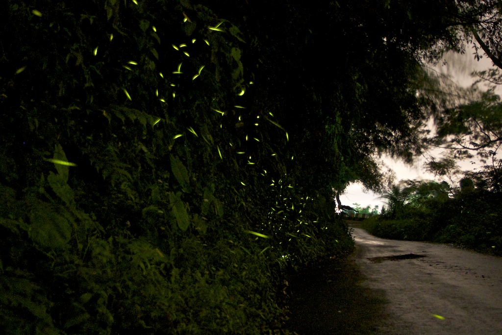 http://i.dcview.tw/gallery/201204/224c284441b9630cc62ab6dac746c4db.jpg