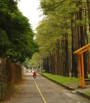 中興大學校園 600d 18-135mm