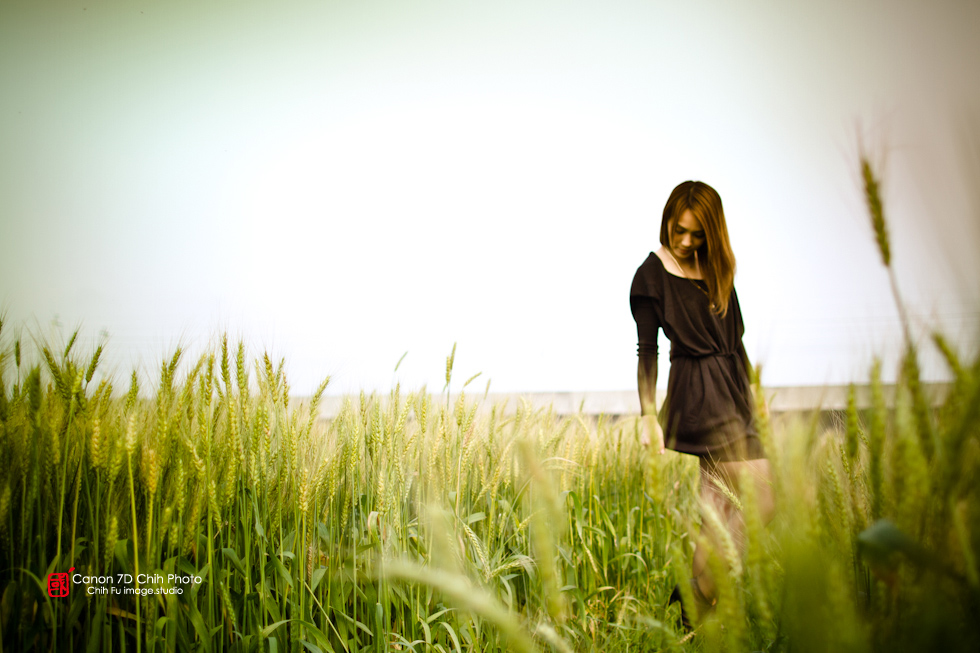 http://i.dcview.tw/gallery/201204/2e078999eb81b8f1226ec19287a2fd21.jpg