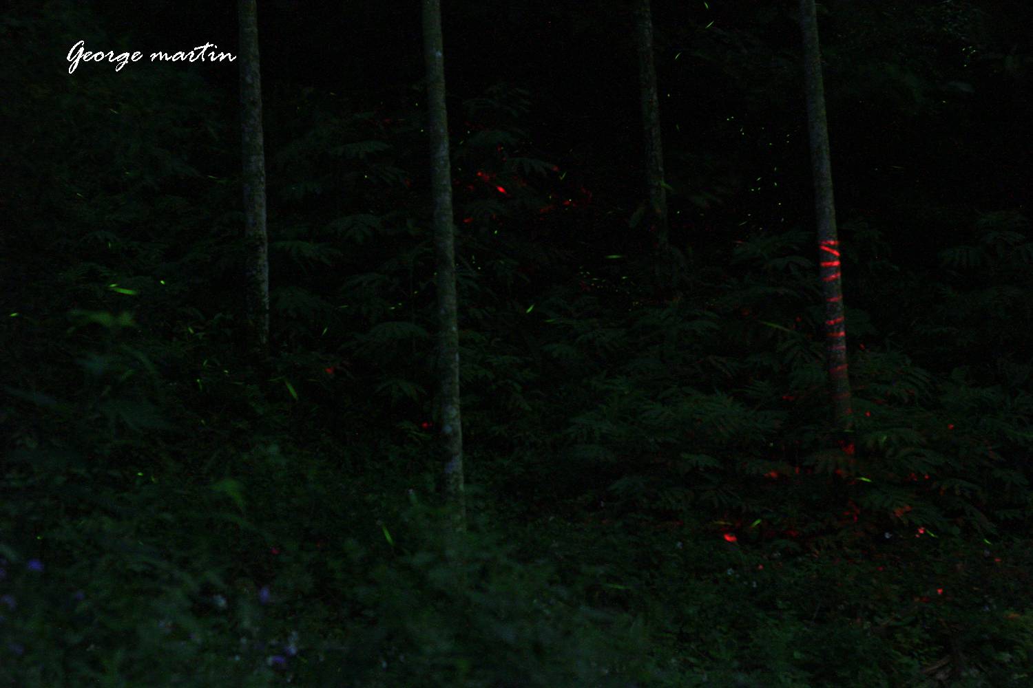 http://i.dcview.tw/gallery/201204/31063dc46739240446b3fd13a2481d29.jpg