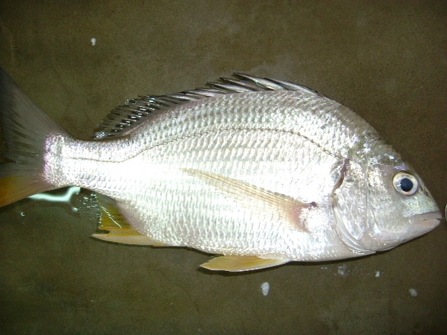 http://i.dcview.tw/gallery/201204/316a83f6dda2b40a679b67f55a27dfb6.jpg