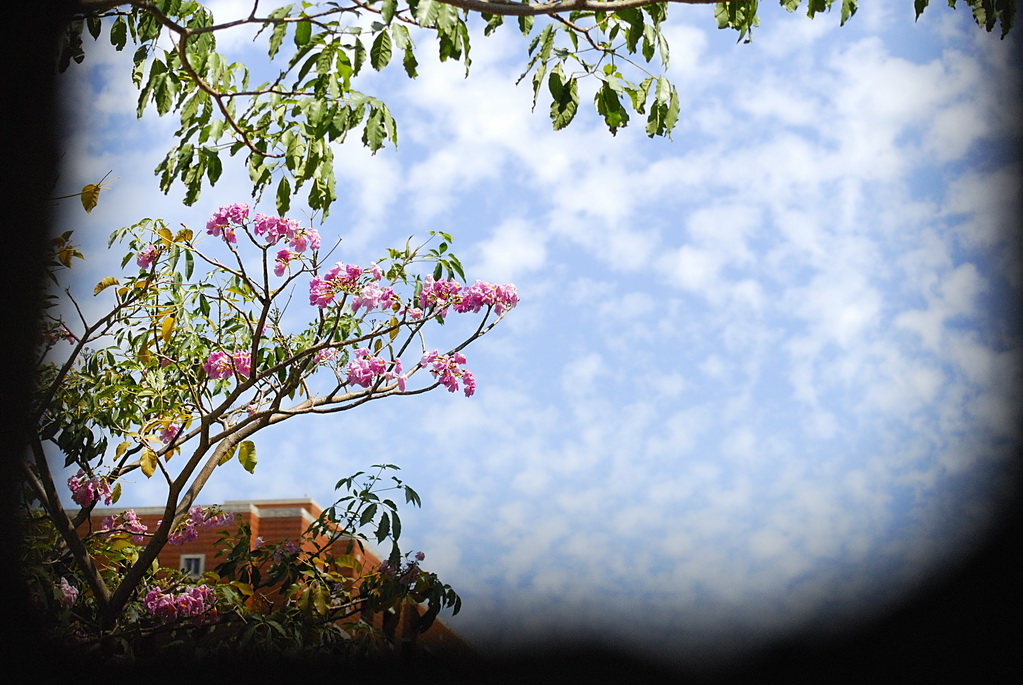 http://i.dcview.tw/gallery/201204/32c8866bebf88367ccae25a4d73a18e3.jpg