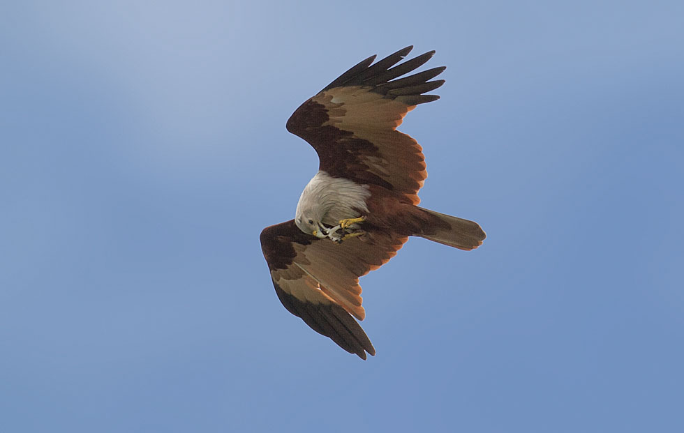 http://i.dcview.tw/gallery/201204/3351b0947770e0d3bb9ec84c40e4f10b.jpg