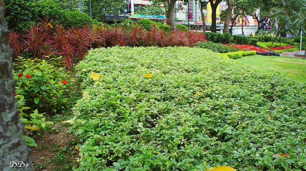 http://i.dcview.tw/gallery/201204/34c26be163b7c46a89986dde9603b592.jpg