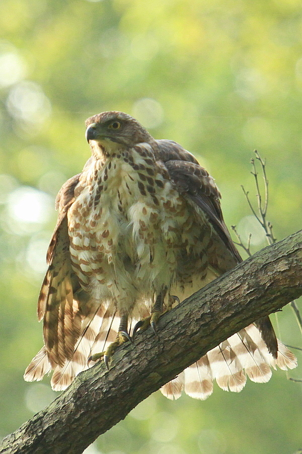 http://i.dcview.tw/gallery/201204/3642e97300c3ad83bcb6bc80328d9291.jpg