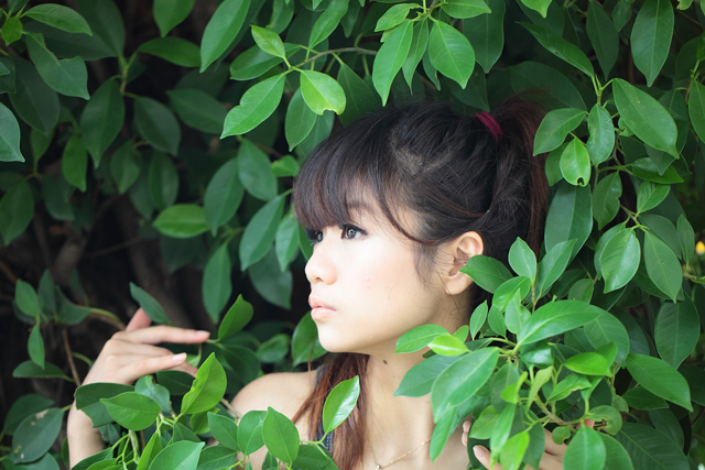 http://i.dcview.tw/gallery/201204/38b25d0e723685142d5f2dac7b08bc95.jpg