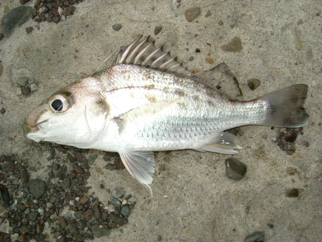http://i.dcview.tw/gallery/201204/3b670ba39476a8370f579fa4b47a783a.jpg