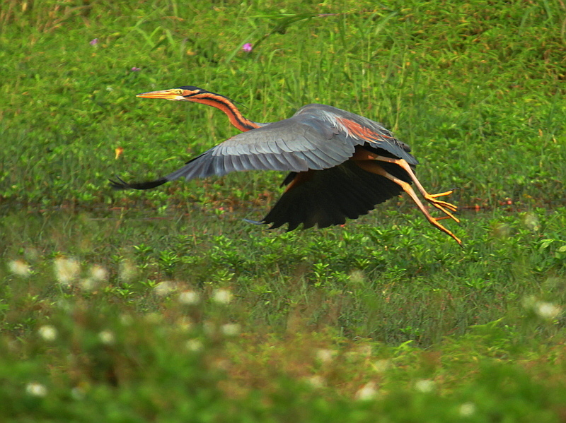 http://i.dcview.tw/gallery/201204/3f015e67b695e6025b736b6b5ce9a3bb.jpg