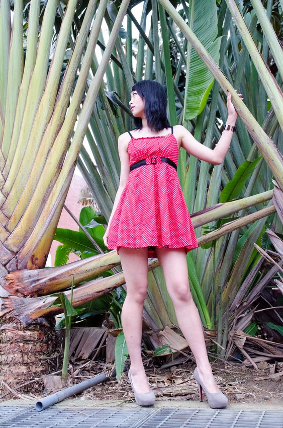 http://i.dcview.tw/gallery/201204/400bce096e1670a31b79946150c5fb5b.jpg
