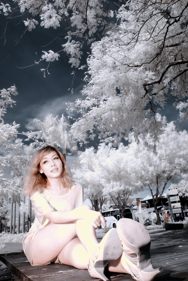 http://i.dcview.tw/gallery/201204/4080e78160f8ad262c20bccfbe11dd28.jpg