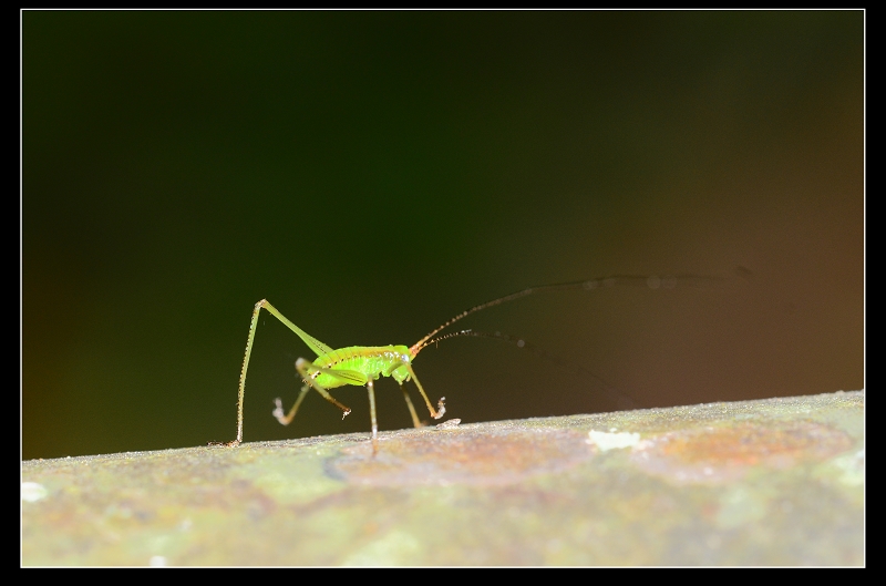 http://i.dcview.tw/gallery/201204/40e6516038d5d8cc2729a8113ed4348f.jpg
