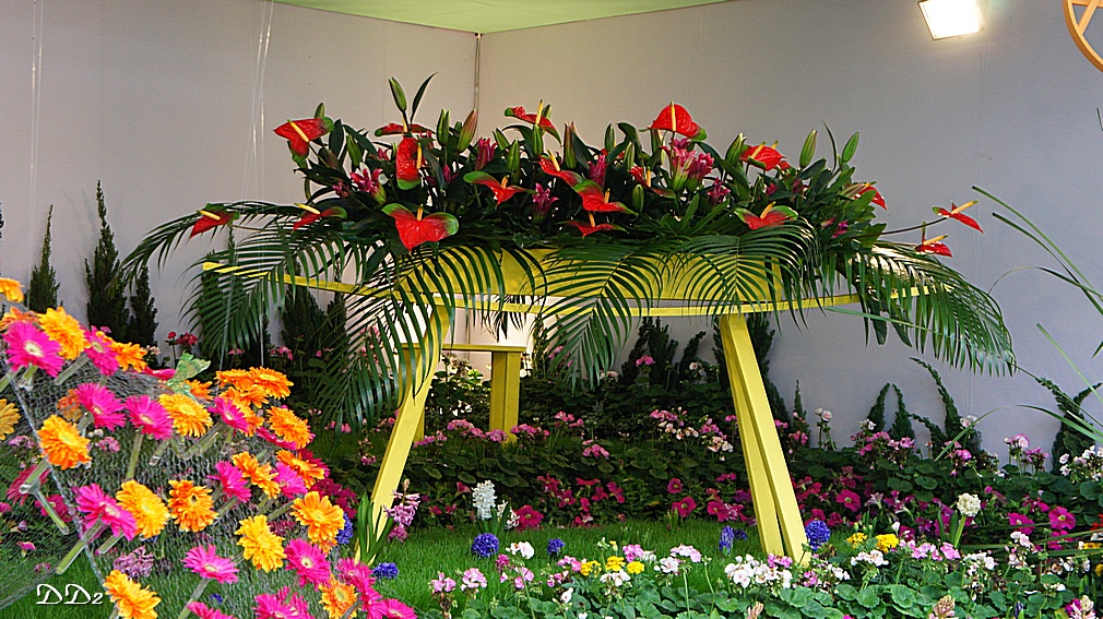 http://i.dcview.tw/gallery/201204/41d0bddff473ee10dce009056c87a50d.jpg