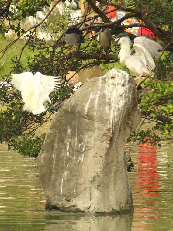 http://i.dcview.tw/gallery/201204/4279e194b9e3f25fab12e99c5bdbcbb9.jpg