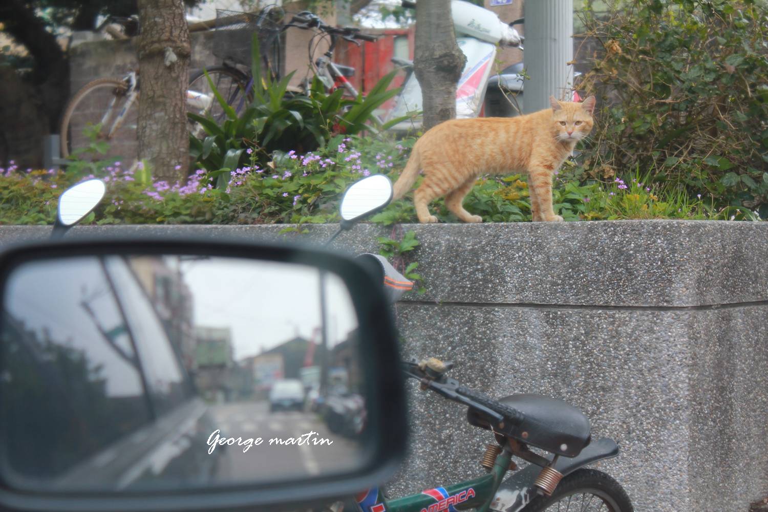 http://i.dcview.tw/gallery/201204/4603c2b80b0d49821375e7117740debe.jpg
