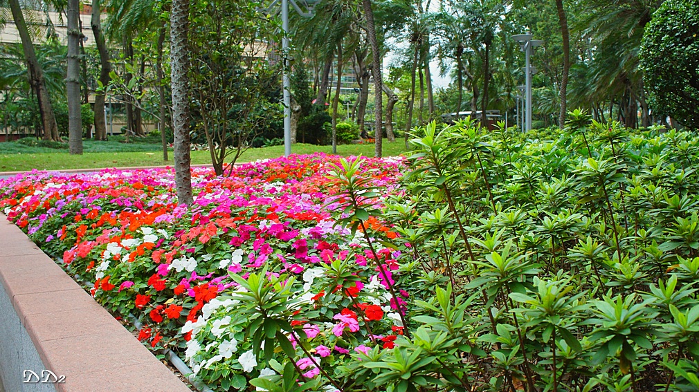 http://i.dcview.tw/gallery/201204/46a71efe57c12cf2c836493d8815520f.jpg