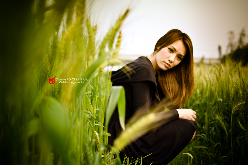 http://i.dcview.tw/gallery/201204/4765fa73a40c77c78c4d589d82340b07.jpg
