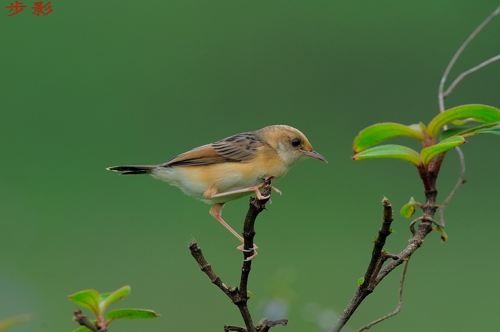 http://i.dcview.tw/gallery/201204/48ad9903bfe3d4d91d3be42680f0fe9f.jpg