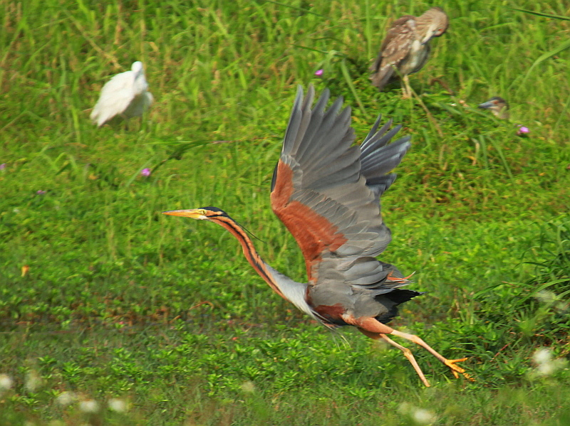 http://i.dcview.tw/gallery/201204/49aeda904790039545ce0db80a8b562d.jpg