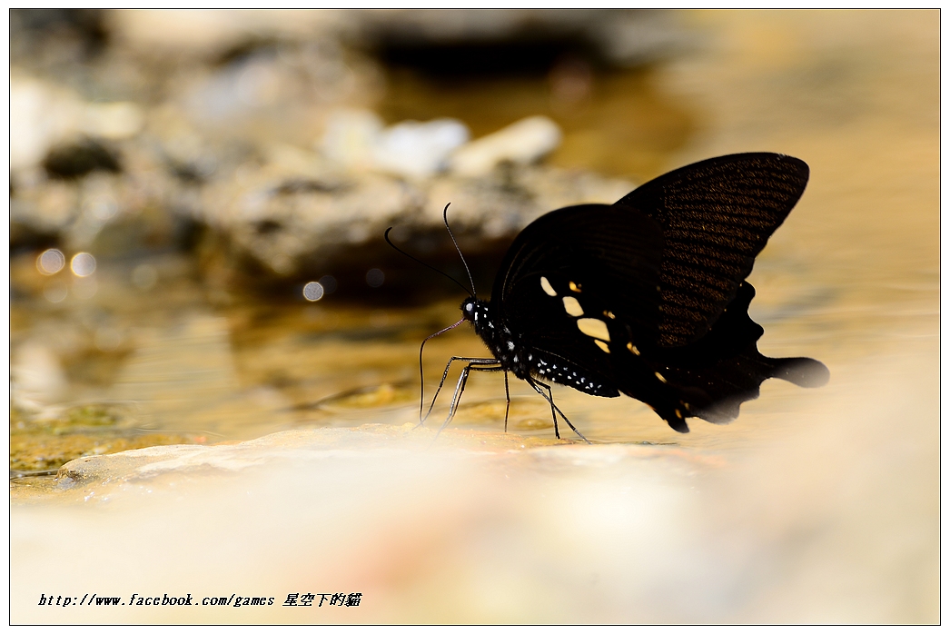 http://i.dcview.tw/gallery/201204/4b1e6fb616a66e7206d76d937915e0e4.jpg