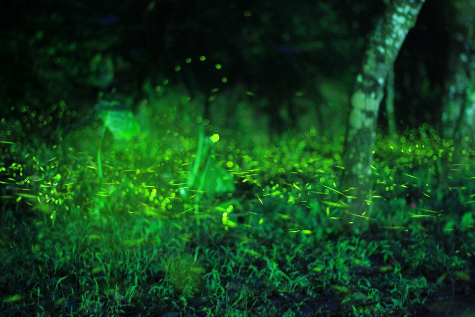 http://i.dcview.tw/gallery/201204/508796d6ee9099f4777b6b834cb8971b.jpg