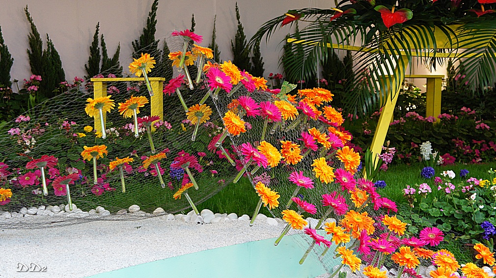 http://i.dcview.tw/gallery/201204/52fd6331ad1dffcbcb6279f32f951609.jpg