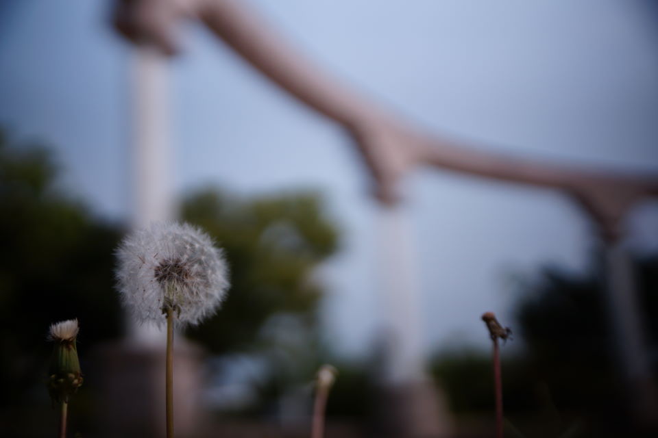 http://i.dcview.tw/gallery/201204/5615a28fbba2a1a4533ce7ded5fc21e7.jpg
