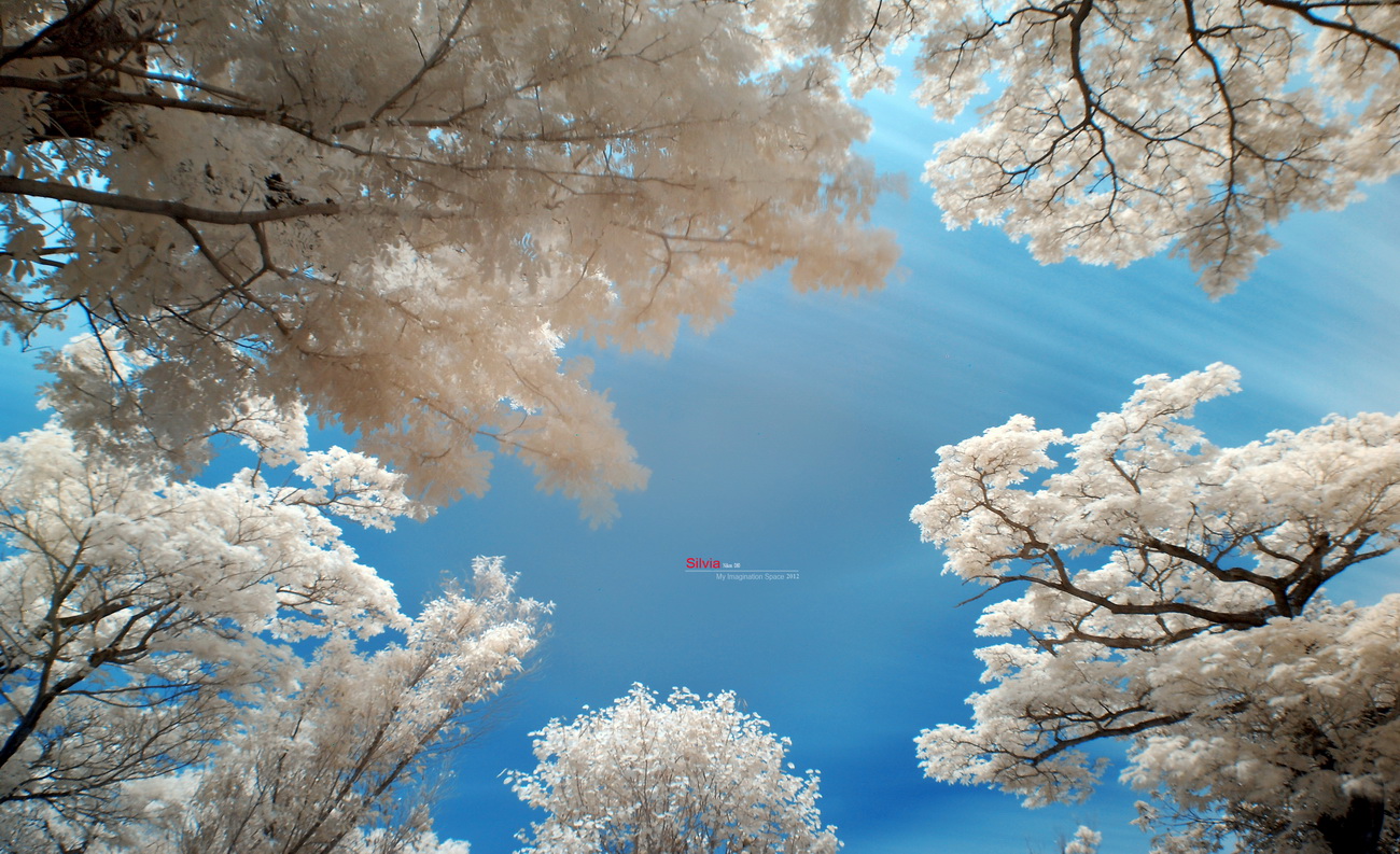 http://i.dcview.tw/gallery/201204/575d971dae1298462a5835a2cf12fc20.jpg