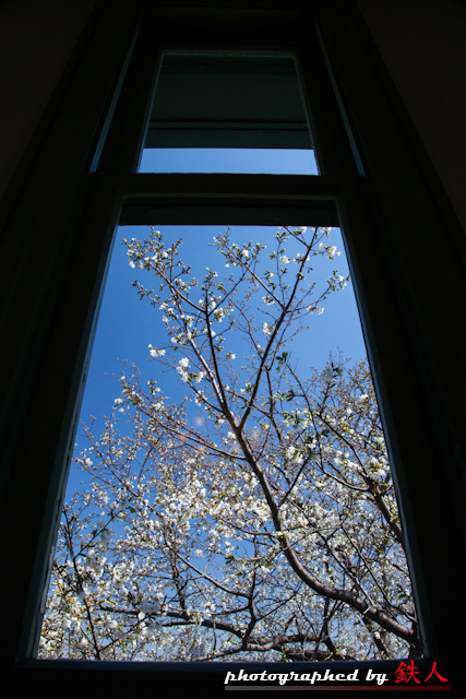 http://i.dcview.tw/gallery/201204/585bf90c5810ed9769bb0d5acab747ab.jpg
