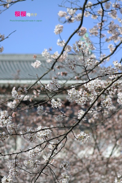 http://i.dcview.tw/gallery/201204/5c3748d6ac686bfbe5d5231d9ba4c7f7.jpg