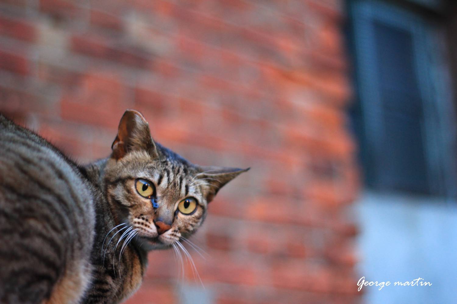 http://i.dcview.tw/gallery/201204/5dae84ff04aeff3487a7ee9c83bba1d6.jpg