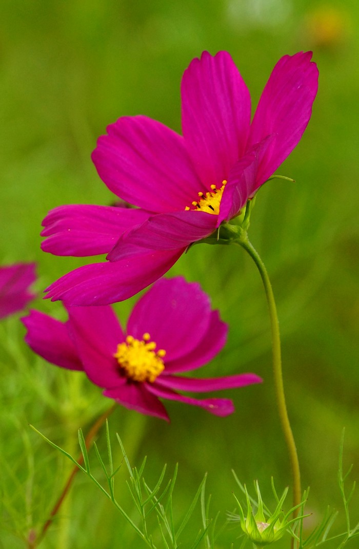 http://i.dcview.tw/gallery/201204/5f34761106a5a7ad0e4534b0ed94ca69.jpg