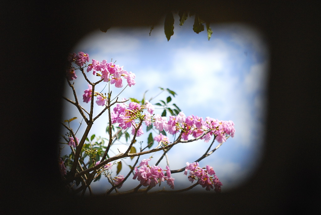 http://i.dcview.tw/gallery/201204/654bf98603fe6de9c9992a51a6cb8f6d.jpg