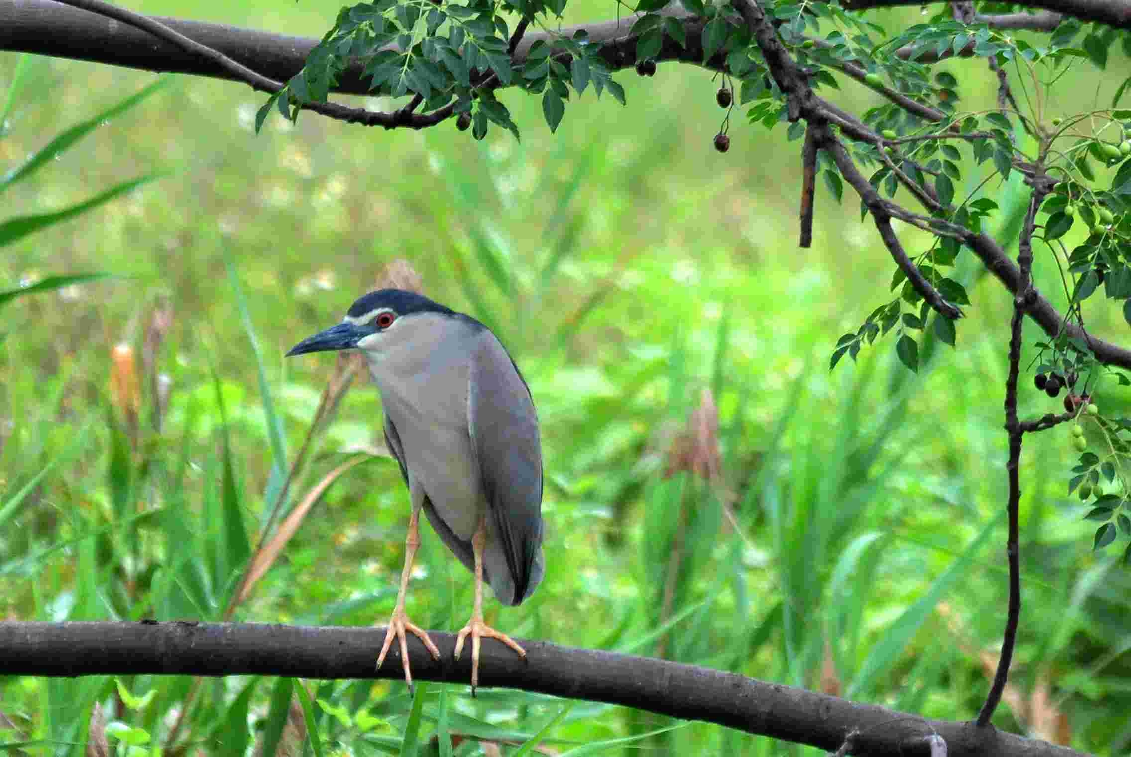 http://i.dcview.tw/gallery/201204/66f64be900d3bc2596e4ed4cc3fa76f8.jpg